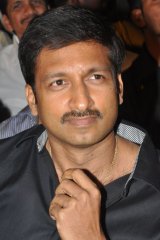 Run Raja Run Audio Launch